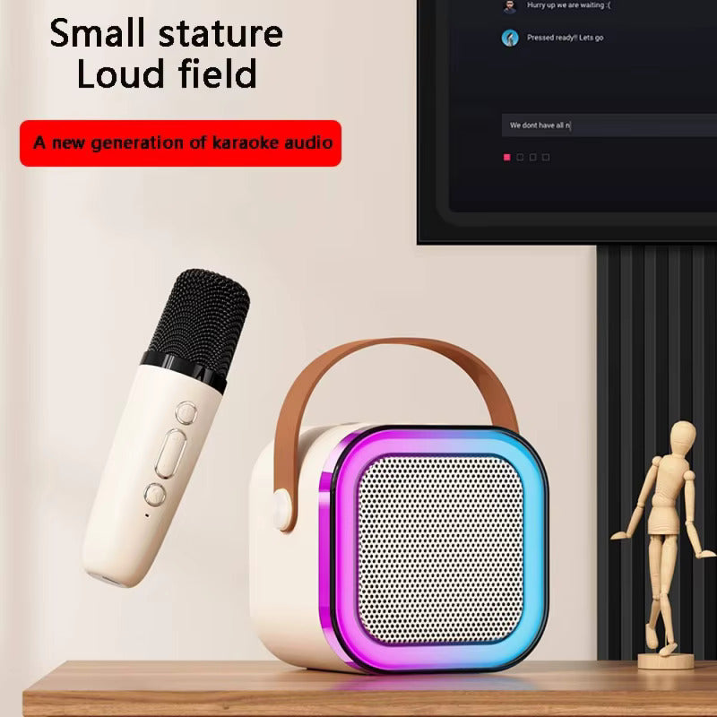 Rechargeable Wireless Speaker And Mic